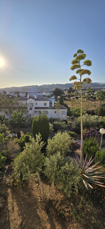 Charmant appartement te koop in Torrox Park – rustige omgeving op slechts 10 minuten van de zee.